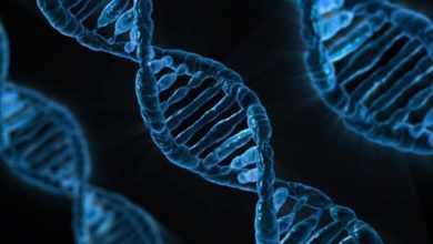 How Bioelectronic Medicine Is Shaping The Future Of Healthcare 4 Bioelectronic Medicine